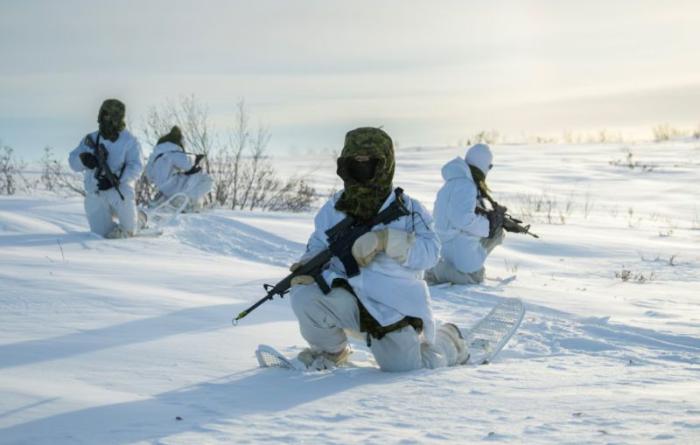 Канада моделирует партизанские действия против армии США