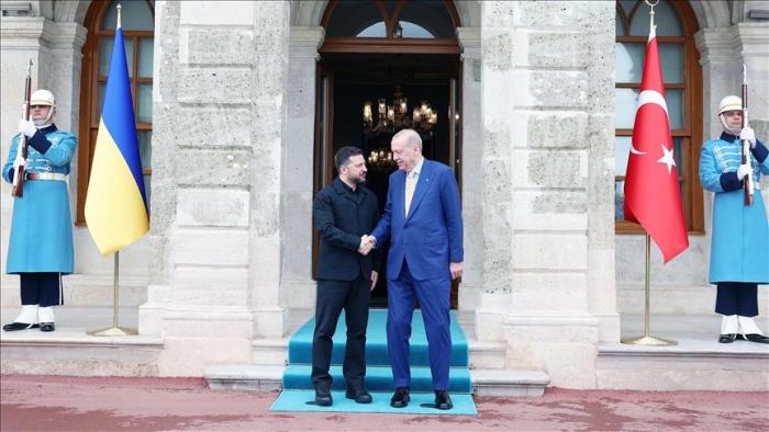 Зеленский провёл в Стамбуле переговоры с президентом Эрдоганом