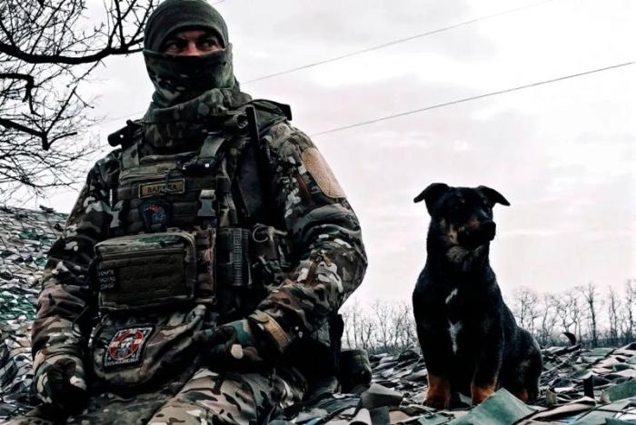 в зоне проведения СВО