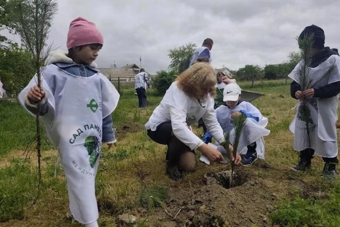 в Михайловском детском саду «Солнышко» Скадовского округа прошла акция «Сад памяти». Сотрудники детсада, дети, представители природного парка «Алешковские пески» и лесхоза высадили 50 саженцев крымской сосны, источник МАХ-канал Таврия. Новости Херсонской области
