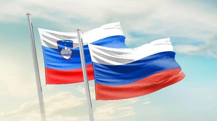 Спикер нижней палаты парламента Словении Зоран Стеванович планирует посетить Россию 