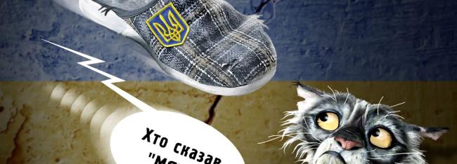 Кто сказал «мяу»?, или Львовских котов заставляют «нявкать»