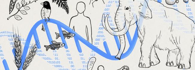 В США набирают кадры для разработки биологического оружия с помощью ИИ