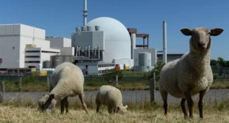 Стержнем нового энергетического уклада станет атомная энергетика