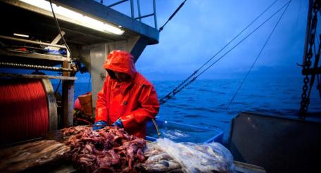 Незаконному японскому рыболовному промыслу на Курилах необходимо положить конец