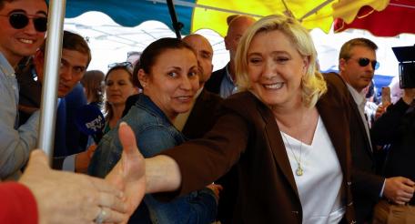 Марин Ле Пен среди французских избирателей