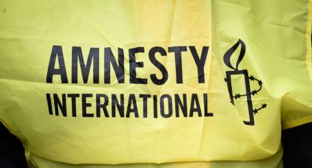 Как Amnesty International выступила… «рупором пропаганды путинского режима»