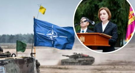 Молдавия откажется от нейтралитета, чтобы присоединиться к НАТО