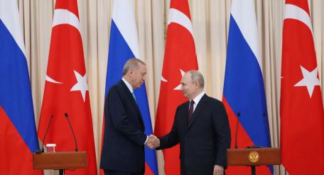 Общие интересы России и Турции глубже их разногласий