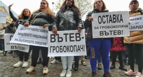 В Болгарии протестуют против транзита украинской сельхозпродукции
