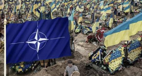 Global Times: НАТО – гробовщик, которому нужны конфликты и кровопролития