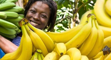 Россия – Эквадор: бананы – оружие дипломатии