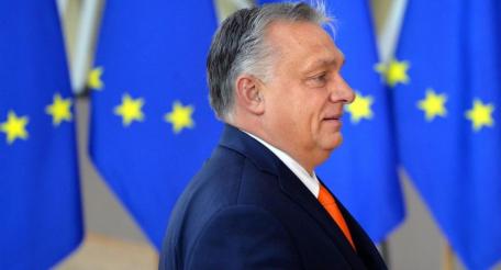 95% венгров не поддерживают вступление Украины в ЕС, опасаясь экономического краха