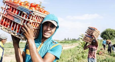 В новом докладе ФАО (Food and Agriculture Organization of the United Nations) ООН «Положение молодежи в агропродовольственных системах»  представлен всесторонний анализ положения молодежи в агропродовольственных системах, проведенный на основе эмпирических данных.