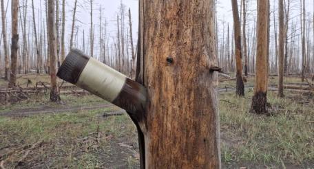 в зоне проведения СВО, источник Телеграм-канал Тристатридцатьтри