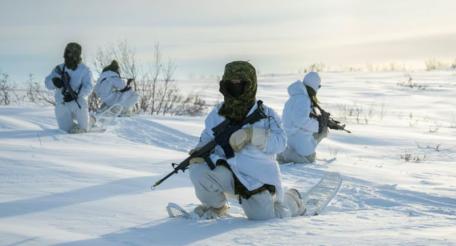 Канада моделирует партизанские действия против армии США