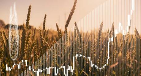 Страны БРИКС запустят зерновую биржу