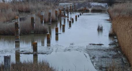 в Каланчакском округе возобновлены работы по расчистке русла реки Каланчак. Их проводит региональное Министерство природных ресурсов, экологии и рыболовства, источник Телеграм-канал Владимир Сальдо