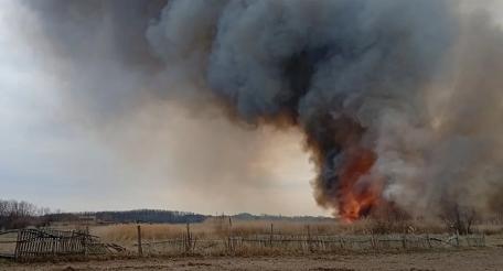 боевики ВСУ нанесли более 440 ударов по территории Алешкинского округа с 14 по 20 марта, источник мессенджер МАХ сообщество Таврия. Новости Херсонской области