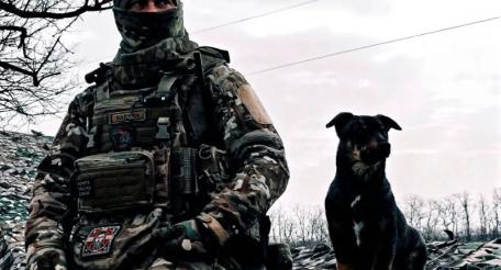 в зоне проведения СВО