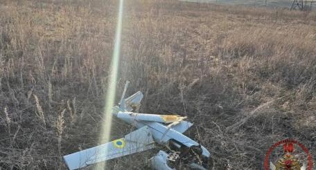 обломки одного из ударных беспилотников ВСУ самолётного типа, сбитых в небе над ЛНР, источник сообщество Росгвардия в мессенджере МАХ