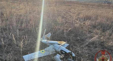 обломки одного из ударных беспилотников ВСУ самолётного типа, сбитых в небе над ЛНР, источник сообщество Росгвардия в мессенджере МАХ