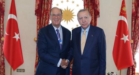 В Стамбуле в османском дворце Долмабахче состоялась закрытая встреча нынешнего турецкого лидера Реджепа Эрдогана с главой транснациональной инвестиционной компании BlackRock Ларри Финком.