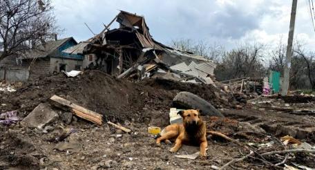 в зоне проведения СВО, источник МАХ-канал Тристатридцатьтри