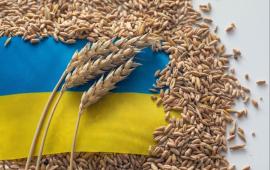 Украина перессорила Европу и пожаловалась в ВТО