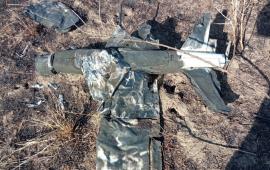 Сбитый украинский БПЛА Лелека-100 в Херсонской области