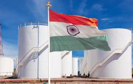 Российско-индийское энергетическое сотрудничество: проблемы и перспективы 