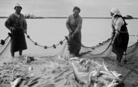 Арал, 1941-1945: чтобы всех поимённо назвать...