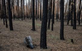 Серебрянский лес alles!!! километр, два не считаем...Теперь разминирование...На очистку леса от мин уйдёт до пяти лет, источник Телеграм-канал Шепот Фронта