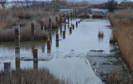 в Каланчакском округе возобновлены работы по расчистке русла реки Каланчак. Их проводит региональное Министерство природных ресурсов, экологии и рыболовства, источник Телеграм-канал Владимир Сальдо