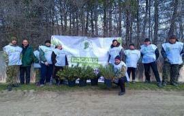 в ДНР стартовала ежегодная акция «Сад памяти». Представители Минприроды ДНР, сотрудники лесничеств, а также волонтёры и местные жители высадили 20 000 сеянцев сосны крымской на территории Артёмовского участкового лесничества. Общая площадь озеленения составила 4,6 гектара, источник Телеграм-канал Всё о ДНР