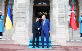 Зеленский провёл в Стамбуле переговоры с президентом Эрдоганом