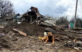 в зоне проведения СВО, источник МАХ-канал Тристатридцатьтри