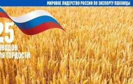 Игра в компромисс: Киев готов обсуждать зерновой коридор, но отвергает базовые законные требования Москвы
