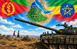 20 сентября 7 разрозненных вооруженных группировок объявили о создании «Альянса народных сил Эфиопии за выживание». Повстанцы, среди которых Национальное движение Фано (амхары), Народный фронт освобождения Тыграя (TPLF), Армия освобождения Оромо и ряд других этнических формирований, провозгласили своей главной целью свержение режима Абия Ахмеда.